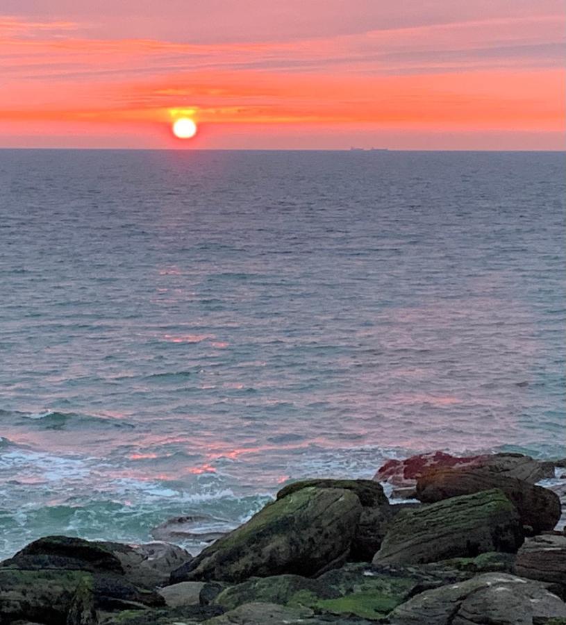 La Regate Wimereux - Vue Mer Экстерьер фото